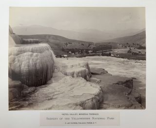 Yellowstone & the Northern Rockies