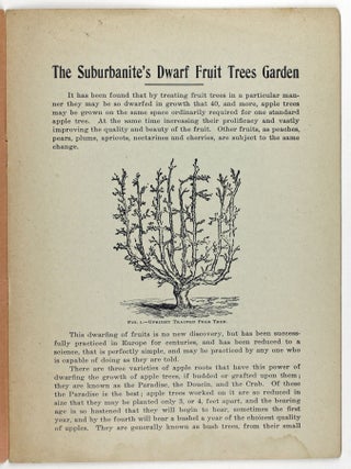 The Suburbanite's Dwarf Fruit Trees Garden (Preliminary Bulletin)