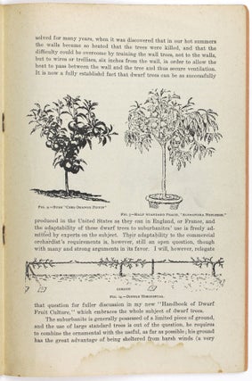 The Suburbanite's Dwarf Fruit Trees Garden (Preliminary Bulletin)