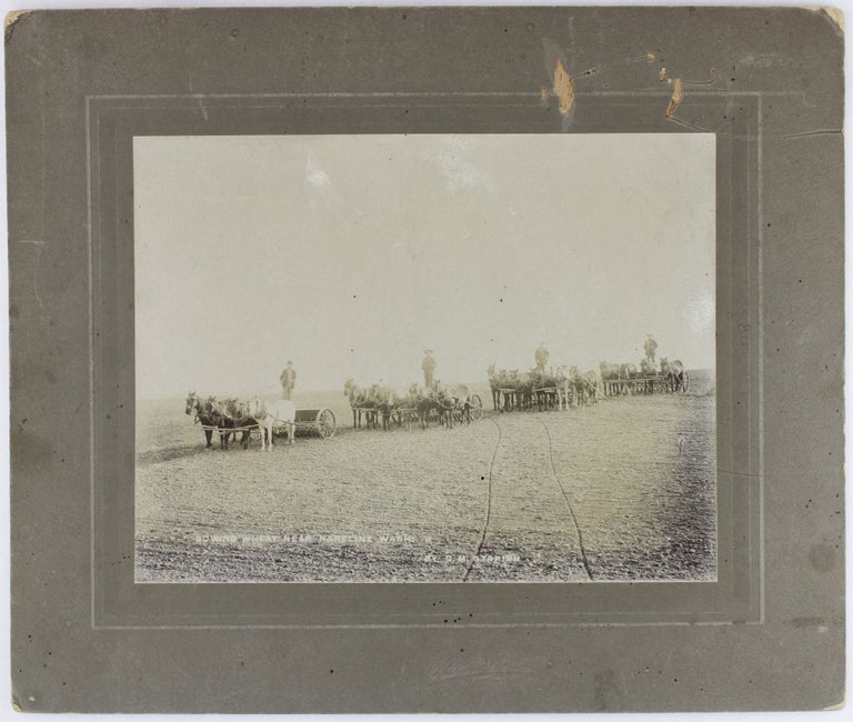 Item #3574 Sowing Wheat Near Hartline Wash. by G.M. Stapish [caption title]. Washington Photographica, Agriculture.