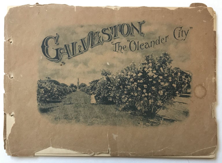Item #660 Souvenir of Galveston, Texas, the Oleander City. Texas.